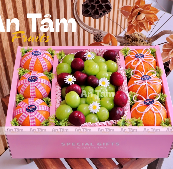 HỘP TRÁI CÂY MIX 3 LOẠI TRÁI QUÝT ÚC CHERRY MỸ VÀ NHO MẪU ĐƠN