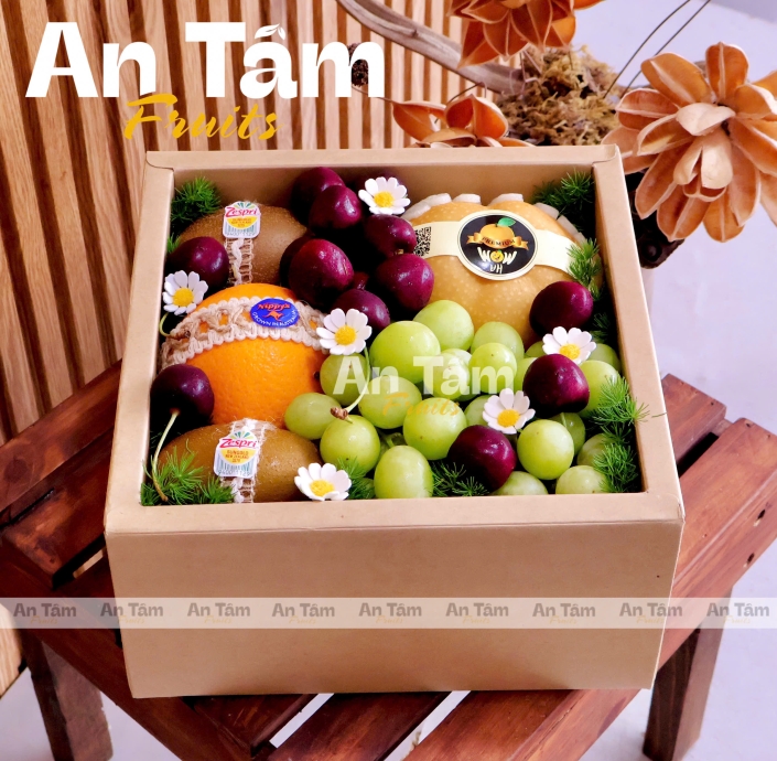 HỘP TRAI9S CÂY BESTSELLER MIX TRÁI
