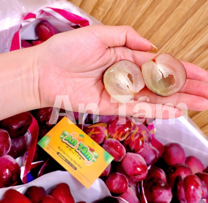 NHO MẪU ĐƠN TRÁI TIM ĐỎ TRÁI TO Ú Ụ