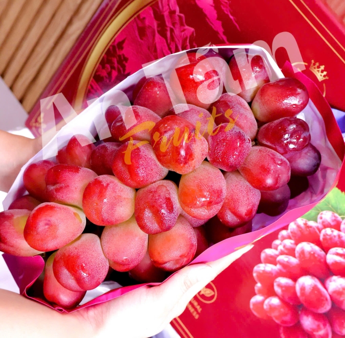 NHO MẪU ĐƠN TRÁI TIM ĐỎ TRÁI TO Ú Ụ